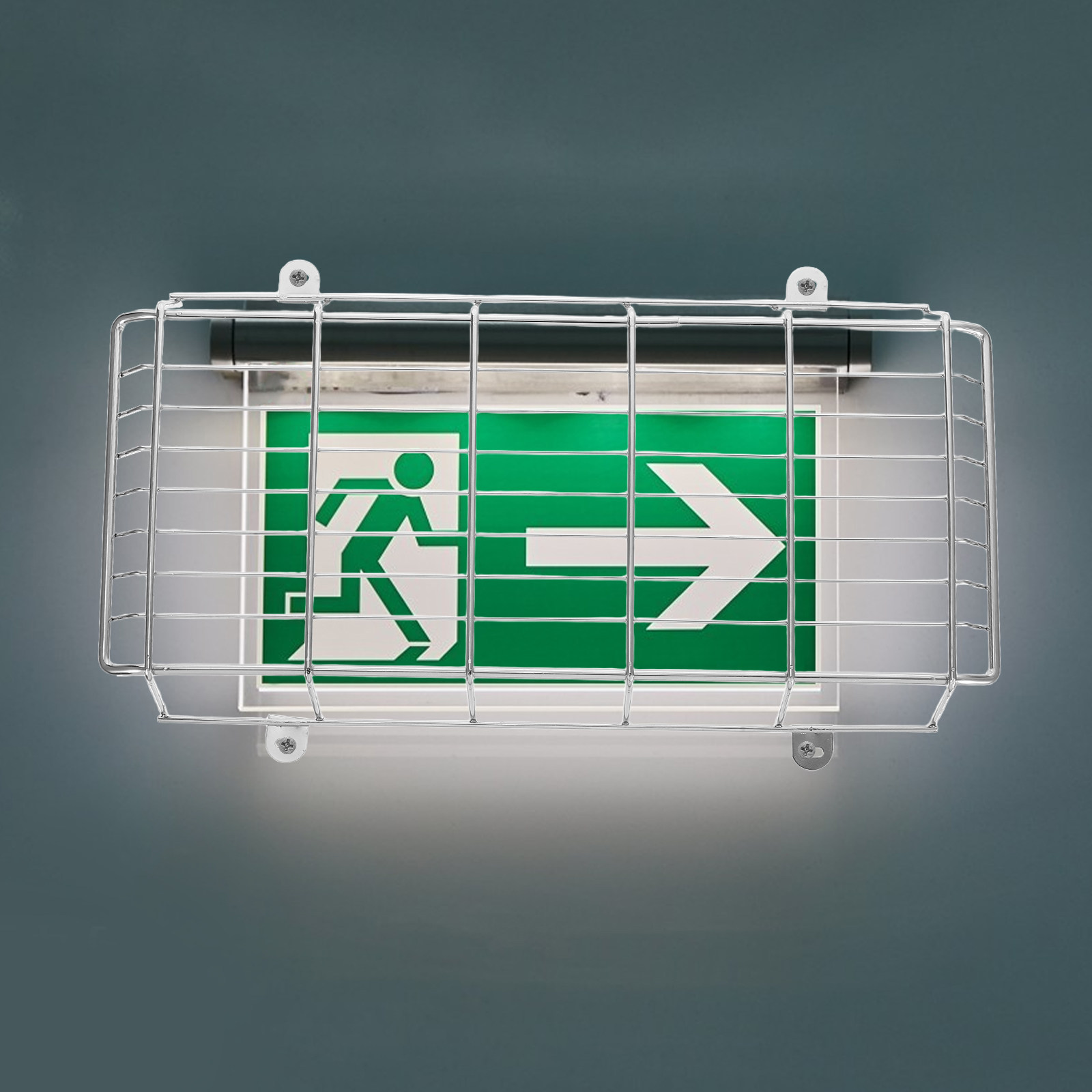 1Set Metal Safety Cage for Sch - огляд і ціна Emergency Exit Sign
