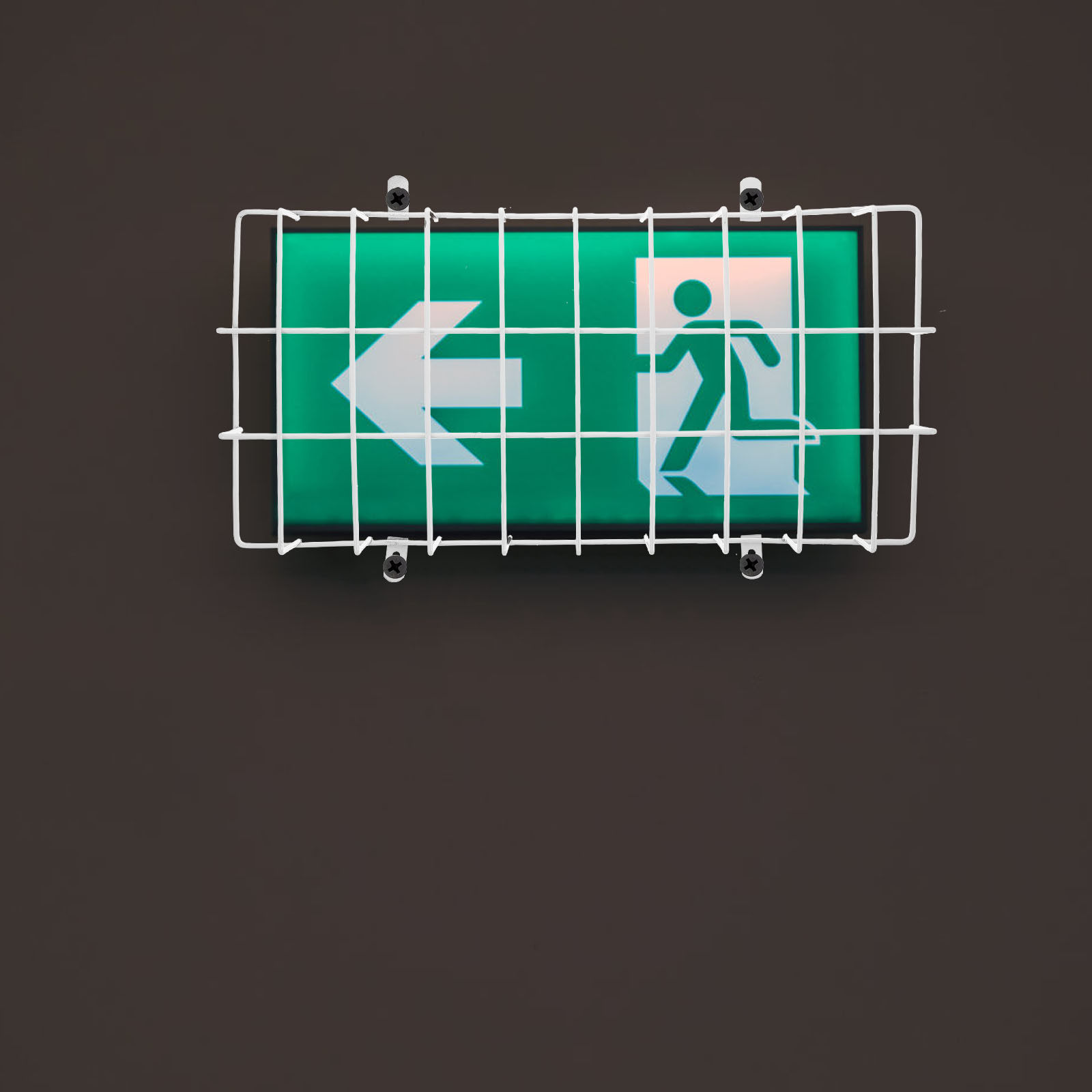 Exit Sign Light Wire Guard Met - огляд і ціна Emergency Exit Sign